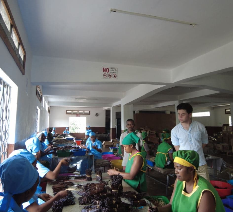 Floris Vos in de verwerkingsfaciliteit op Madagaskar — vanillepeulen worden gesorteerd en gebundeld